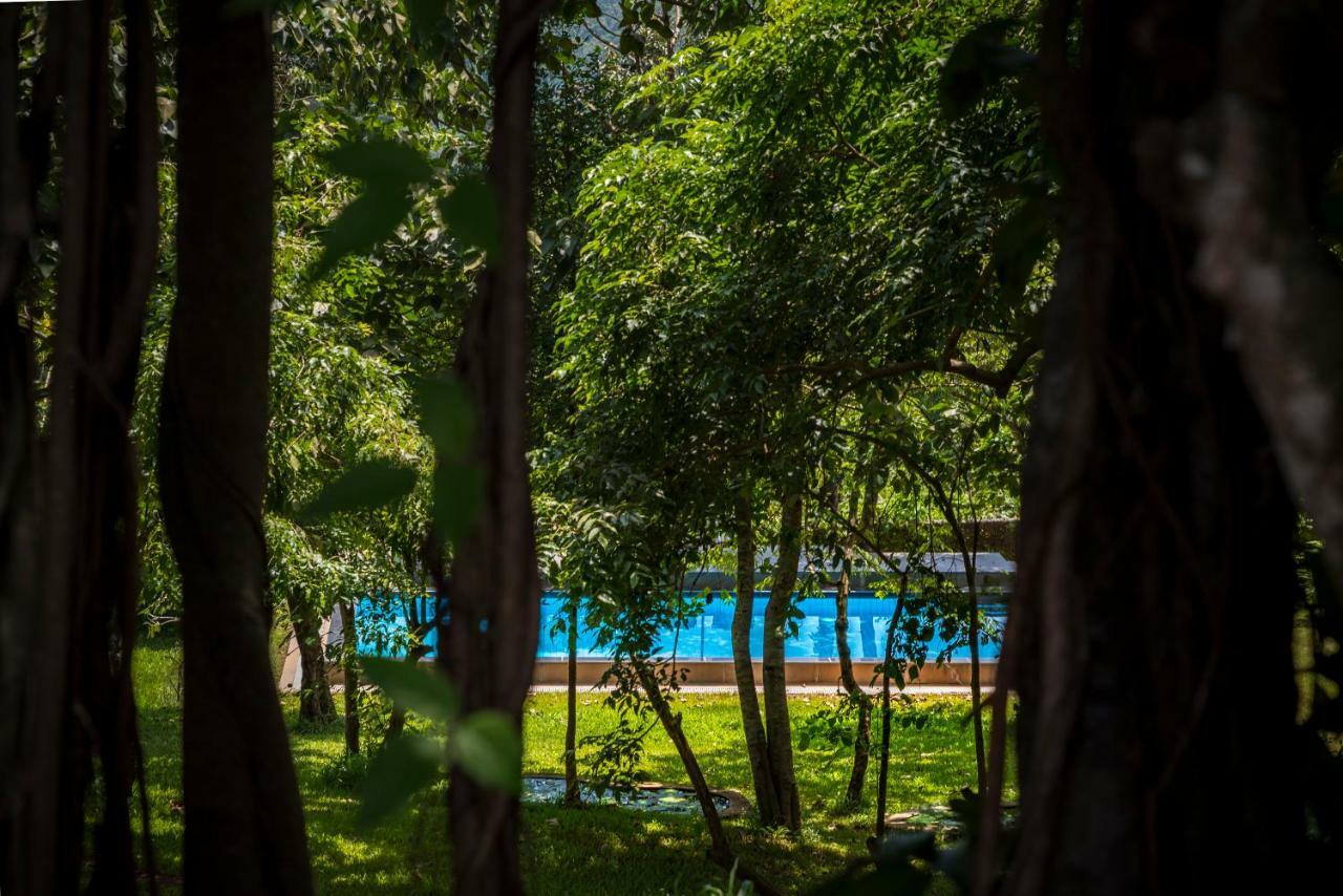 The Postcard Velha, Goa Hotell Gamle Goa Eksteriør bilde